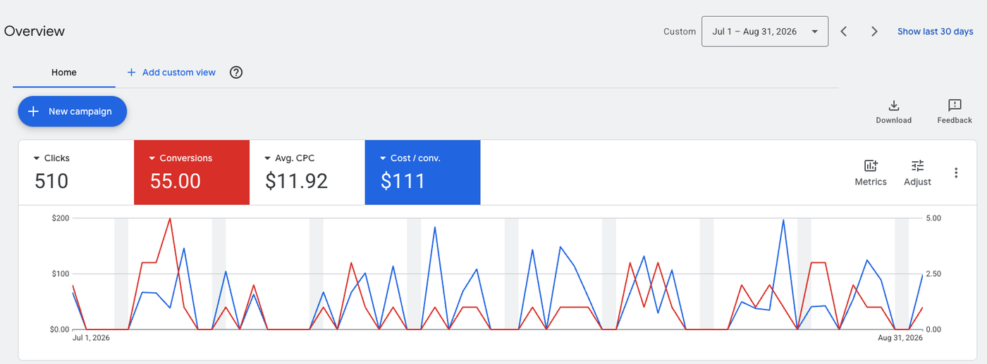 Google Ads overview for Janis Peterson-Lord showing 510 clicks and 55 conversions over two months
